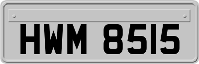 HWM8515