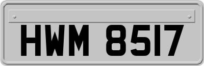 HWM8517
