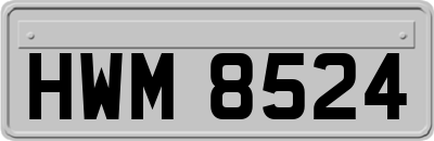 HWM8524