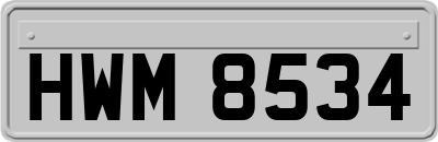 HWM8534