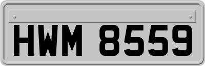HWM8559