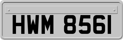 HWM8561