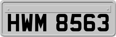 HWM8563