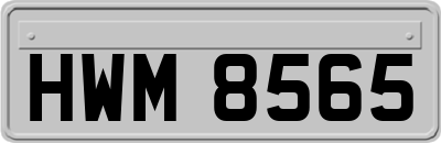 HWM8565