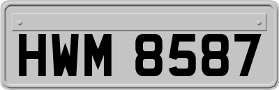 HWM8587