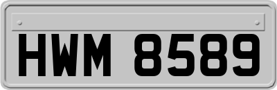 HWM8589