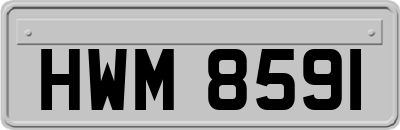 HWM8591