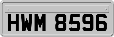 HWM8596