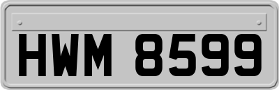HWM8599