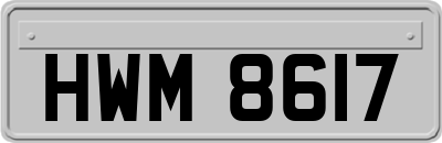 HWM8617