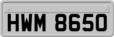 HWM8650