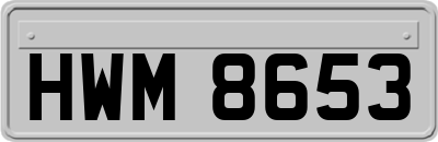 HWM8653