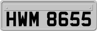 HWM8655