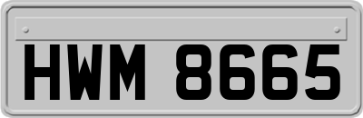 HWM8665