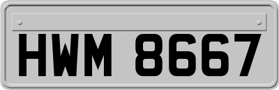 HWM8667