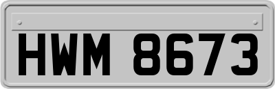 HWM8673
