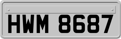 HWM8687