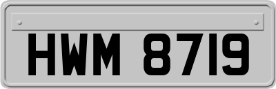 HWM8719