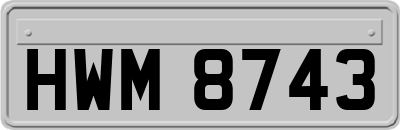 HWM8743
