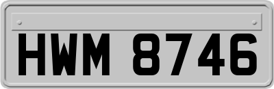 HWM8746