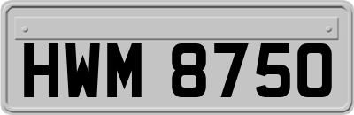 HWM8750