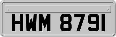 HWM8791
