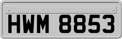 HWM8853