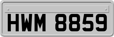 HWM8859