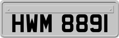 HWM8891