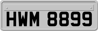 HWM8899