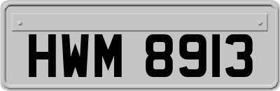 HWM8913
