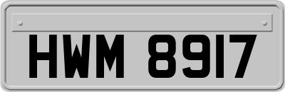 HWM8917