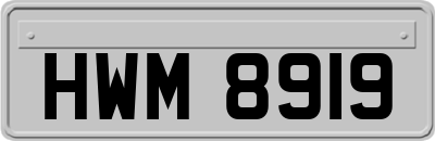 HWM8919