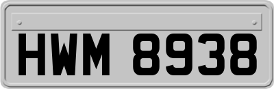 HWM8938