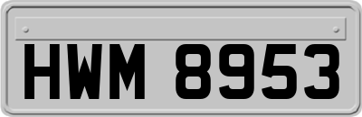 HWM8953