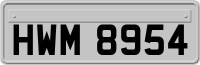 HWM8954