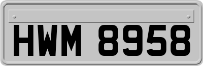 HWM8958