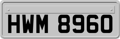 HWM8960
