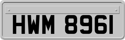HWM8961