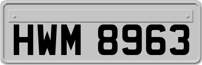 HWM8963