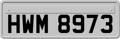 HWM8973