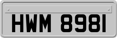 HWM8981