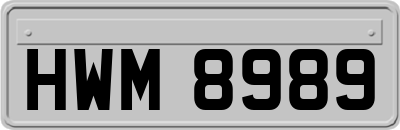 HWM8989