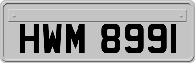 HWM8991