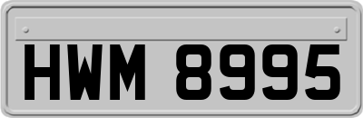 HWM8995