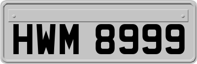 HWM8999