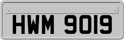 HWM9019