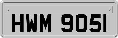 HWM9051