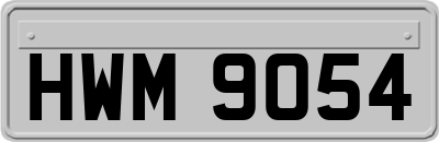 HWM9054
