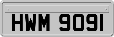 HWM9091